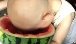 饭桶大头吃瓜,揭秘娱乐圈幕后真相