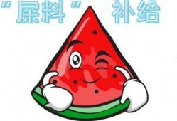 县令吃瓜,揭秘古代官场趣闻轶事