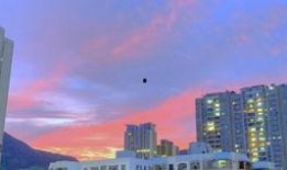 爱丁堡吃瓜群微博,揭秘英伦生活圈里的那些事儿