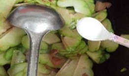 扶手瓜炒着吃,家常烹饪新体验