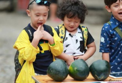 吃瓜小娃创作原声,原声音乐背后的故事与魅力