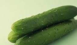 减肥吃瓜的视频