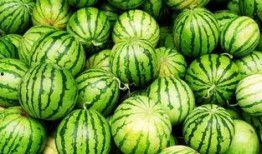 吃瓜吃到饱的感受,从吃瓜吃到饱的奇妙体验