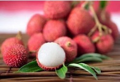 吃荔枝能吃瓜吗,同食相宜还是禁忌？