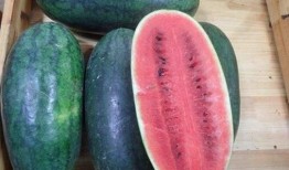 海南最新吃瓜,最新热带美味大盘点