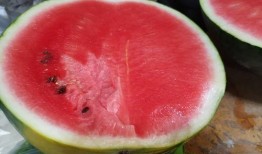 市井吃瓜小民,揭秘街头巷尾的热辣八卦