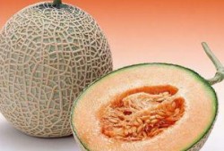 吃牛杂可以吃哈密瓜吗,意想不到的美食组合探索