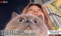 吃瓜猫无字幕,揭秘幕后故事