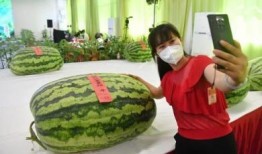 上海出差吃瓜群众