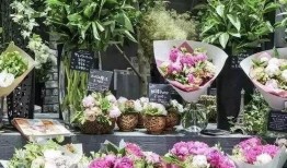 最新吃瓜事件花店,揭秘最新吃瓜事件背后的花店秘密