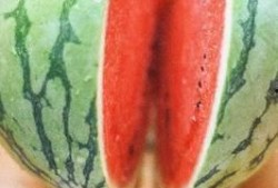 五中高二吃瓜,一场校园“吃瓜”盛宴背后的故事