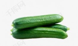 吃瓜迅雷渠道免费吃瓜,吃瓜迅雷渠道带你轻松吃瓜