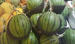 罗杰夫吃瓜,揭秘娱乐圈幕后故事