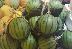 什么叫做吃瓜正,网络时代的围观文化新解读