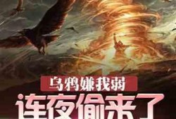 继续吃瓜小说,继续吃瓜，揭开神秘面纱