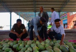 吃瓜群众过十万,揭秘网络热议背后的真相