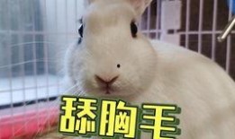 光遇女海王吃瓜,瓜田里的甜蜜邂逅