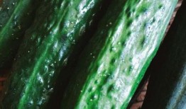 跟系统吃瓜,揭秘网络世界的趣味与争议