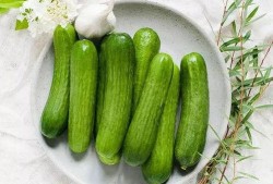 吃瓜7号,网络红人的崛起与影响力