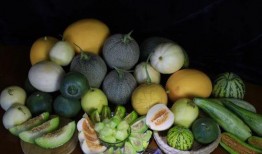 吃瓜博物馆,一场味蕾与历史的奇妙之旅