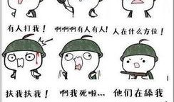 默默吃瓜的萌新,萌新视角下的趣味生活点滴