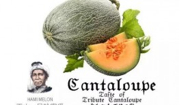 吃瓜群众新号是啥,网络热词背后的故事