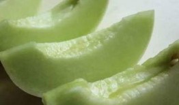 慈溪老师吃瓜,揭秘校园里的“瓜田”风云