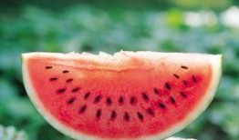 吃瓜照片夏日,清凉一夏，尽享瓜果盛宴