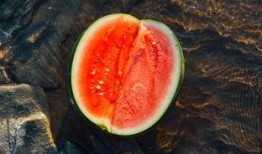 楼兰曲吃瓜,揭秘古丝绸之路上的神秘瓜果传奇