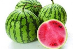 什么瓜不能什么瓜可以吃,哪些瓜可以吃，哪些瓜不能吃