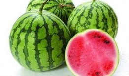 什么瓜不能什么瓜可以吃,哪些瓜可以吃，哪些瓜不能吃