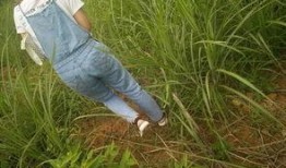 吵架怎么搬凳子吃瓜