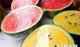 内蒙一中吃瓜,揭秘校园里的“瓜田”风云