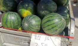 市井吃瓜小民,揭秘街头巷尾的热辣八卦