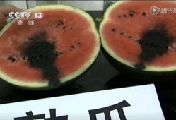 吃瓜高清图文,吃瓜群众视角下的高清图文盛宴