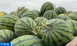 天津大港吃瓜,瓜香四溢的夏日美食之旅