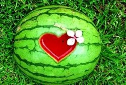 梦见去摘瓜和吃瓜,摘瓜与品瓜的奇幻之旅