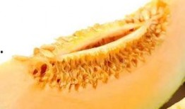 楼兰曲吃瓜,揭秘古丝绸之路上的神秘瓜果传奇