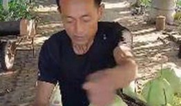 吃瓜的旺哥,吃瓜旺哥带你领略娱乐圈风云变幻