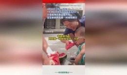 西瓜摔破就地吃瓜