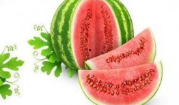 红桃吃瓜,揭秘娱乐圈的瓜田秘事