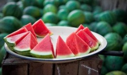 德国吃瓜群,揭秘德国人的日常生活与趣味