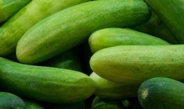 跟系统吃瓜,揭秘网络世界的趣味与争议