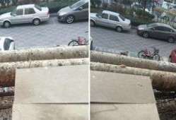 小区楼上吃瓜,邻里和谐还是矛盾升级？